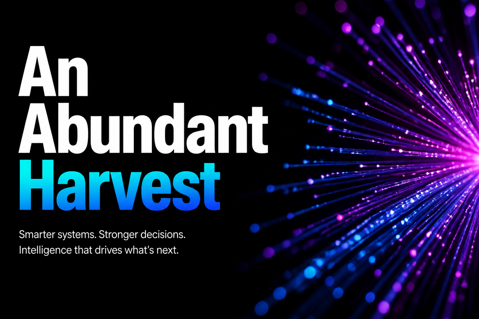 An Abundant Harvest